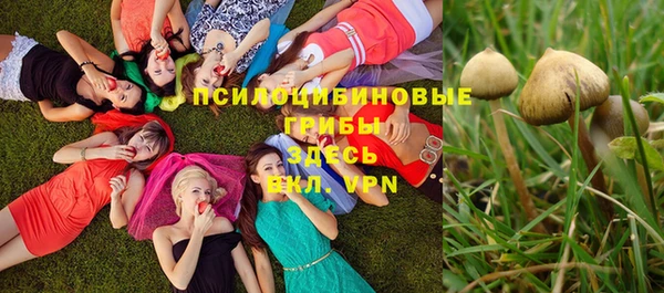 хмурый Горнозаводск