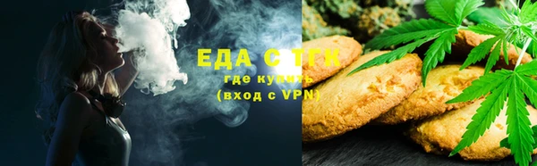 дживик Горняк