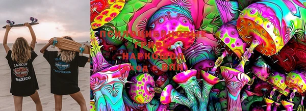 винт Горно-Алтайск