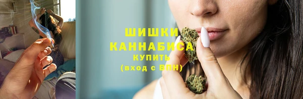 дживик Горняк