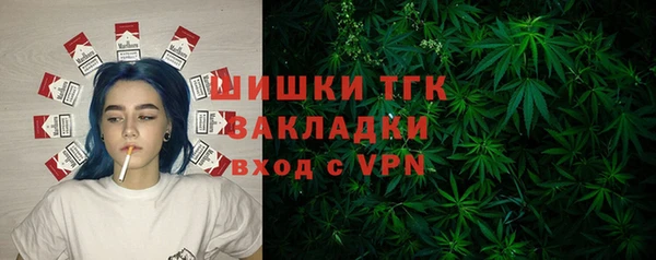 дживик Горняк