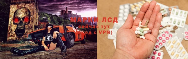 дживик Горняк