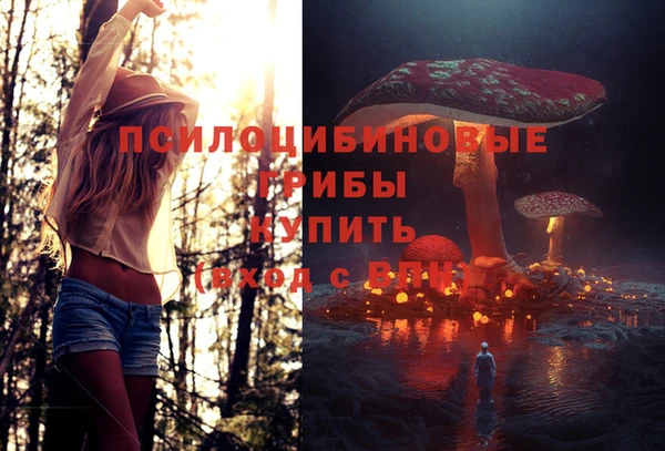 дживик Горняк