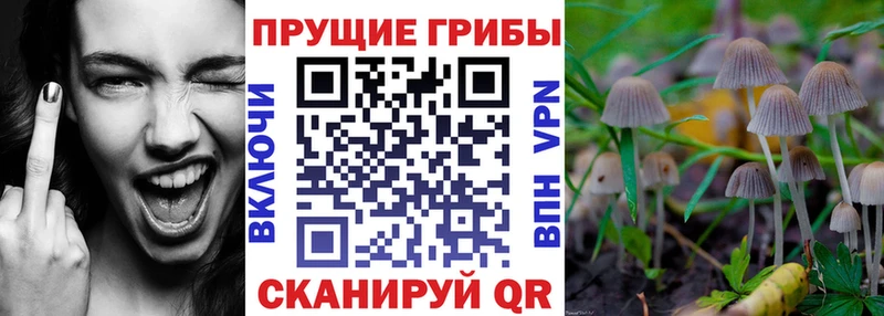 Галлюциногенные грибы GOLDEN TEACHER  Южноуральск 
